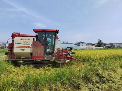 阳新:早稻获丰收 农机助力收割忙